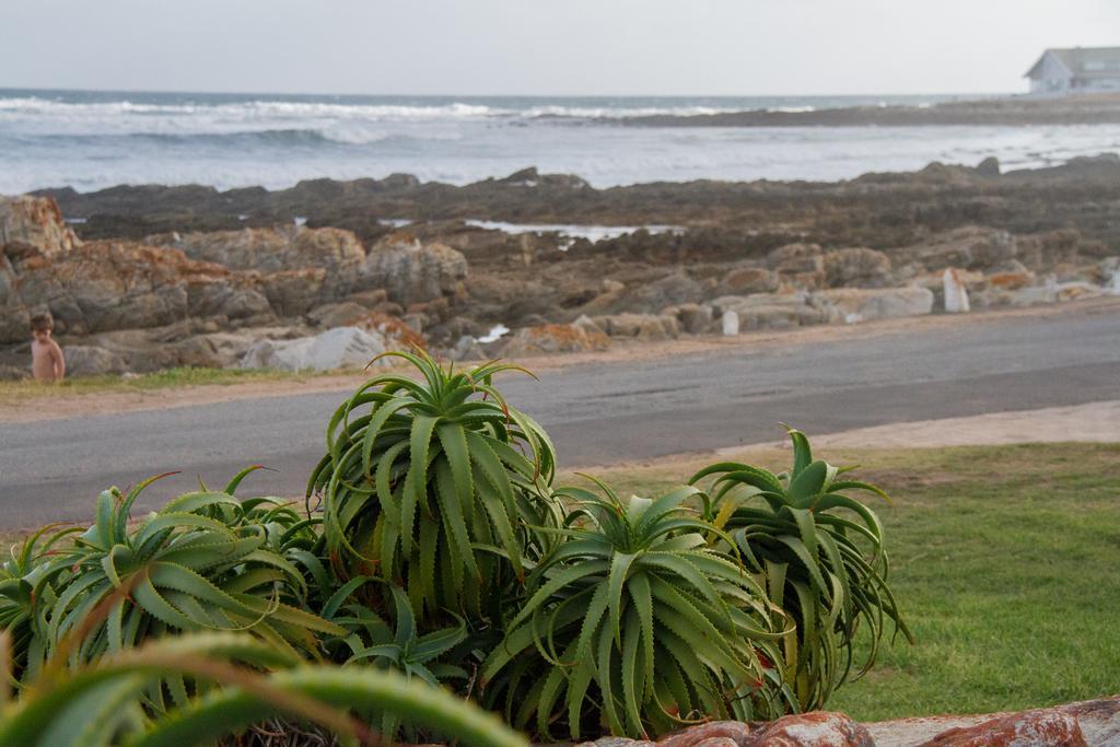 Little Rock Guesthouse Groot-Jongensfontein Exterior foto